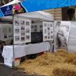Bos Aires Celebra Galicia - 2014