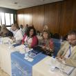 XIII Pleno do Consello de Comunidades Galegas