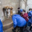 Reencontros con Galicia 2024