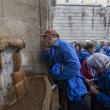 Reencontros con Galicia 2024