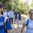 Conecta con Galicia no Camiño 2025