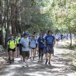 Conecta con Galicia no Camiño 2025