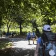 Conecta con Galicia no Camiño 2025