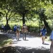 Conecta con Galicia no Camiño 2025
