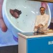 Viaxe a Arxentina "Saborea Galicia Calidade" - Imaxes