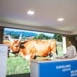 Viaxe a Arxentina "Saborea Galicia Calidade" - Imaxes