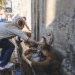 Reencontros con Galicia 2025 - Imaxes