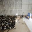 Entrega de diplomas a la novena promoción de becarios/as BEME. Entrega de diplomas a la novena promoción de becarios/as BEME.