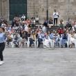 'Escolas Abertas' 2026. 'Escolas Abertas' 2026.