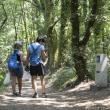 Conecta con Galicia no Camiño 2026.