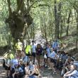 Conecta con Galicia no Camiño 2026.