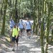 Conecta con Galicia no Camiño 2026.