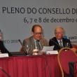 IX Pleno del Consello de Comunidades Galegas