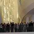 X Pleno Consello de Comunidades Galegas