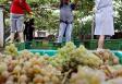 Fiesta del vino, en el Centro Pontevedrés de Montevideo