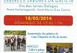 Día das Letras Galegas 2014 - Saberes e Sabores de Galicia, en Niteroi Día das Letras Galegas 2014 - Saberes e Sabores de Galicia, en Niteroi