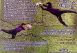 Torneo de Keeper Combat 2014, na Hermandad Gallega de Valencia
