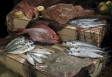 Festa do Peixe 2014 no Centro Pontevedrés de Montevideo