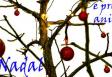 Navidad y Fin de Año 2014 en la A.C.G. de Hamburgo