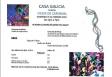 Carnaval 2015 en la Casa Galicia de Nueva York