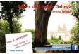 Taller de gallego en Viña del Mar