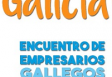 Encontro de Empresarios Galegos do Exterior 2017