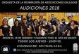 Audiciones 2018 para la Orquesta de Cámara de la Federación de Asociaciónes Gallegas de la República Argentina Audiciones 2018 para la Orquesta de Cámara de la Federación de Asociaciónes Gallegas de la República Argentina