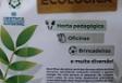 Colonia de vacaciones ecológica de la Sociedade Hispano Brasileira - Casa de Espanha de São Paulo Colonia de vacaciones ecológica de la Sociedade Hispano Brasileira - Casa de Espanha de São Paulo