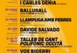 Concerto de Davide Salvado, no Palma Folk 