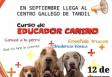 Curso de educador canino, en Tandil Curso de educador canino, en Tandil