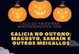 Ciclo de conferencias sobre cultura gallega, en Leipzig