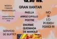 Día da Patria Galega polo Santiago Apostol