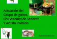 Irmandade galego-irlandesa no Centro Galego de Santa Cruz de Tenerife.