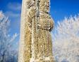 Xulio Villarino retratou o frío máxico da terra lucense nesta escultura do apóstolo. Foto: Xulio Villarino