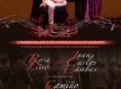 "Camiño Aberto", concierto de Rosa Leiro y Juan Carlos Cambas, en Lugo "Camiño Aberto", concierto de Rosa Leiro y Juan Carlos Cambas, en Lugo
