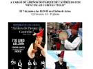 Concerto "Historia viva de Galicia", en Madrid Concerto "Historia viva de Galicia", en Madrid