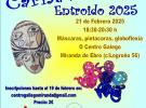 Fiesta de carnaval 2025 en el Centro Gallego de Miranda de Ebro