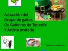 Hermanamiento gallego-irlandés en el Centro Gallego de Santa Cruz de Tenerife.