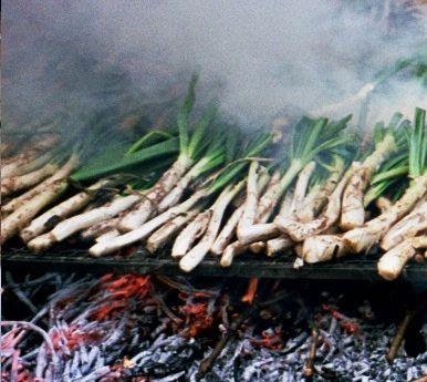 Calçotada y churrasco en la A.C.G. Alborada de La Llagosta
