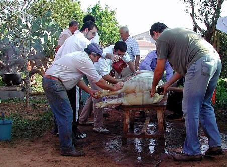 Festa da Matanza do porco 2017 no Centro Galego de Lleida