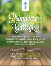 Primavera Gallega, en Santiago de Chile