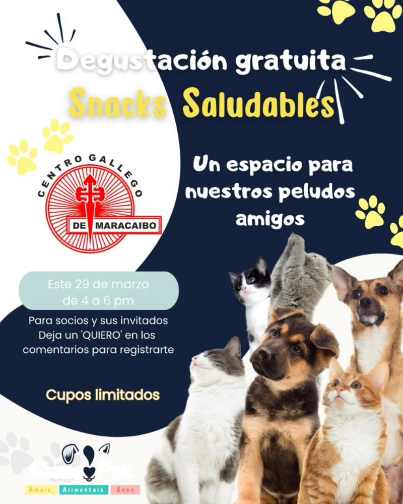 Evento para mascotas no Centro Galego de Maracaibo Evento para mascotas no Centro Galego de Maracaibo
