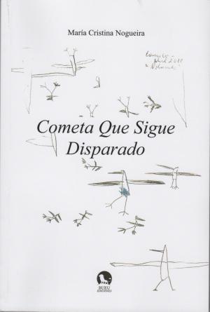'Cometa que sigue disparado' (Bueu Ediciones, 314 páxinas)
