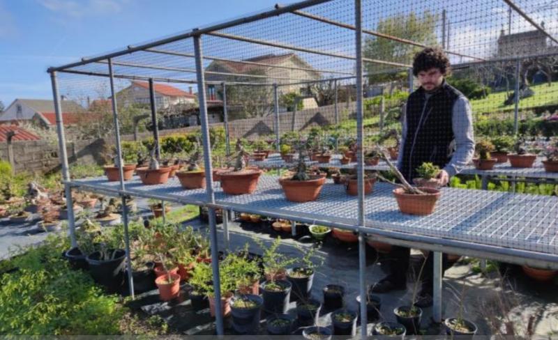 Foto de arquivo dun dos negocios -un viveiro de plantas- postos en marcha co apoio das Axudas ao retorno emprendedor da SXE