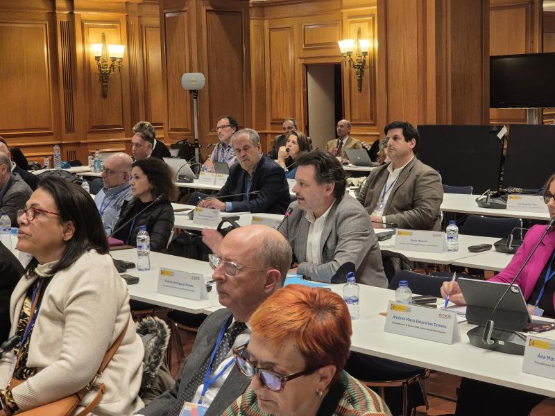 Galicia reclama no Consello da Cidadanía Española no Exterior máis compromiso co retorno e protesta por pretender silenciar ás comunidades autónomas Galicia reclama no Consello da Cidadanía Española no Exterior máis compromiso co retorno e protesta por pretender silenciar ás comunidades autónomas