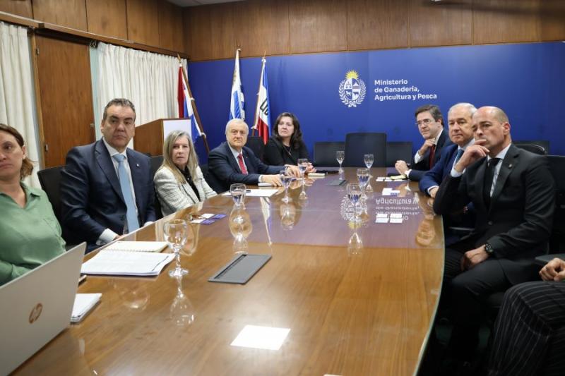 A delegada da Xunta acompaña á delegación empresarial de Lugo na súa visita ao Uruguai A delegada da Xunta acompaña á delegación empresarial de Lugo na súa visita ao Uruguai