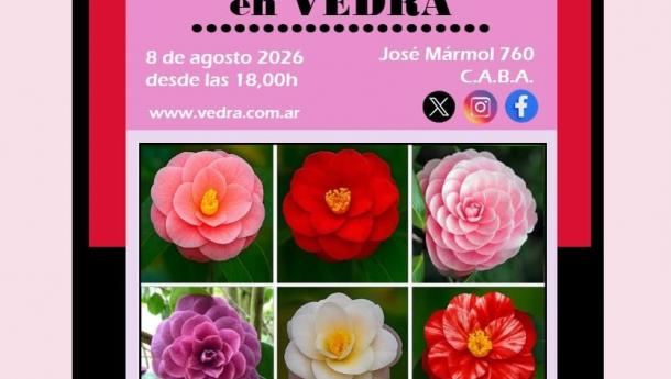 "A noite da camelia" na Sociedade Parroquial de Vedra en Bos Aires. "A noite da camelia" na Sociedade Parroquial de Vedra en Bos Aires.