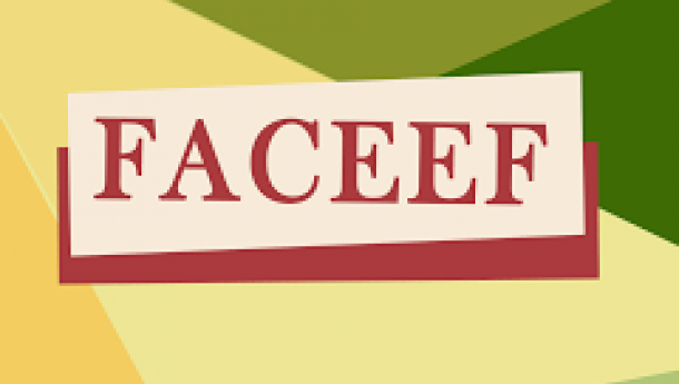 Inscricións aos cursos e talleres organizados pola FACEEF en París