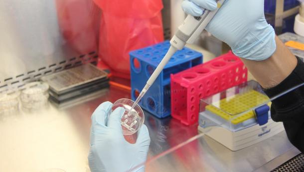 Galicia generará, retendrá y facilitará el retorno de nuevos investigadores e investigadoras de alta cualificación a través del programa Talento Sénior